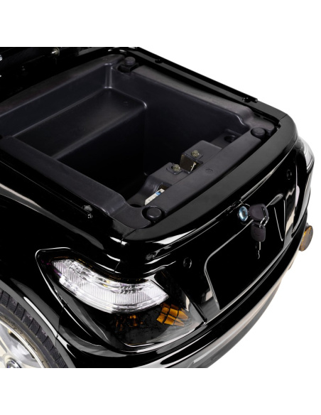 DOUVO 1000 watts scooter électrique 3 roues stable pour PMR et séniors