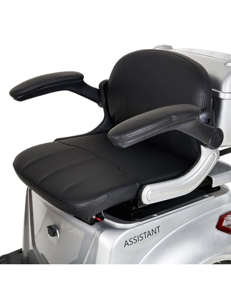 DOUVO 1000 watts scooter électrique 3 roues stable pour PMR et séniors