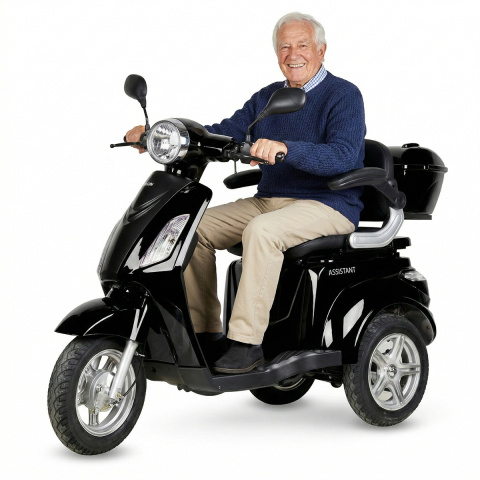 DOUVO 1000 watts scooter électrique 3 roues stable pour...