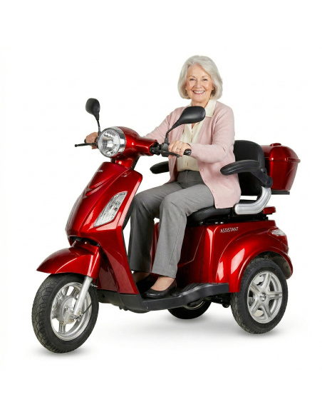 DOUVO 1000 watts scooter électrique 3 roues stable pour PMR et séniors
