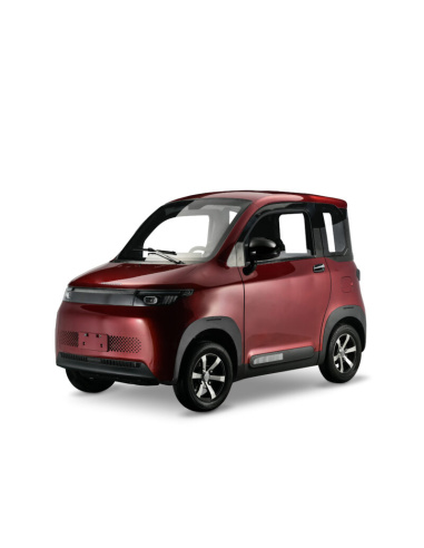 Futuri 4 PRO voiture electrique sans permis...