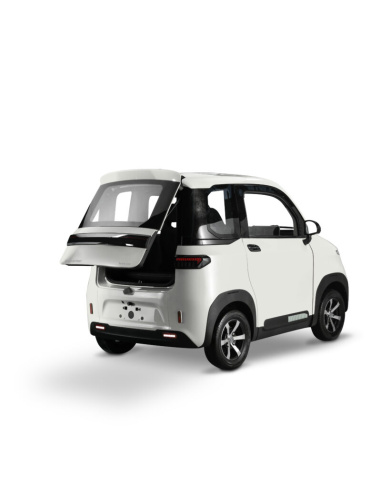 Futuri 4 PRO voiture electrique sans permis...
