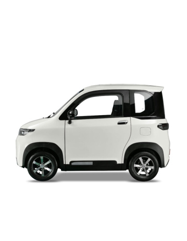 Futuri 4 PRO voiture electrique sans permis...