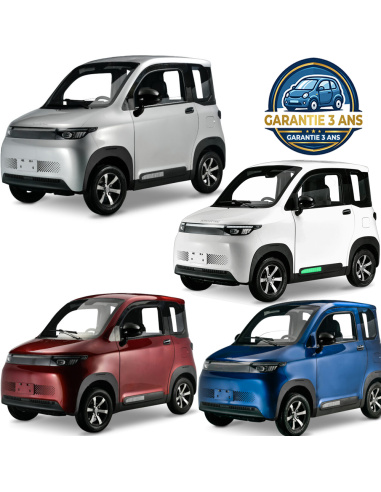 Futuri 4 PRO voiture electrique sans permis...