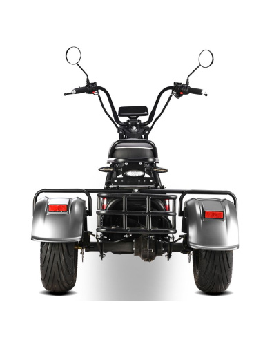 City coco 3 roues HM3 2000 watts 2 places avec...