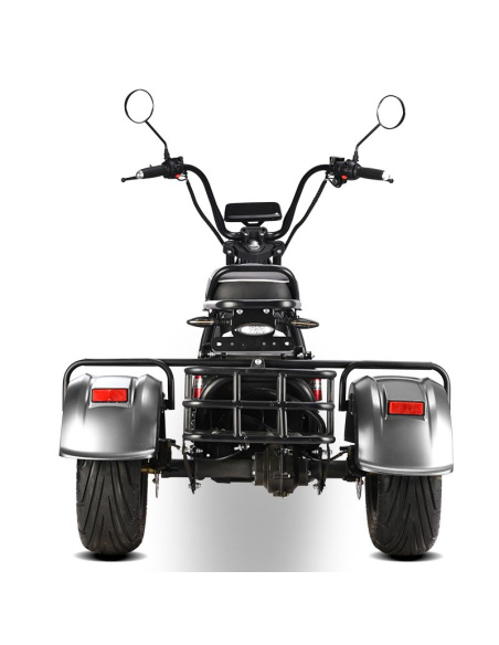 City coco 3 roues HM3 2000 watts 2 places avec panier