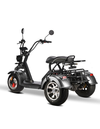 City coco 3 roues HM3 2000 watts 2 places avec...