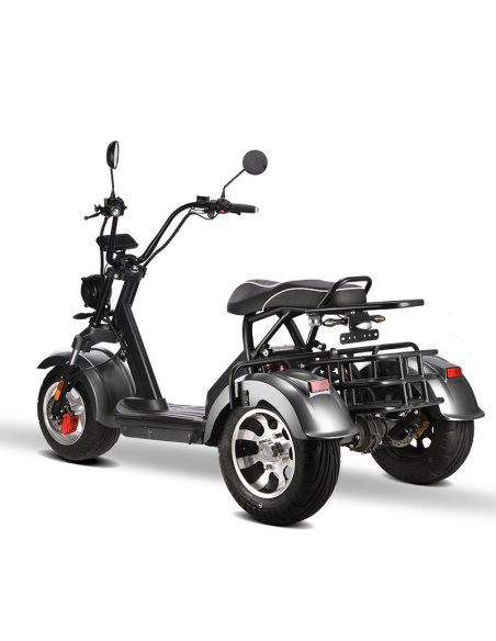 City coco 3 roues HM3 2000 watts 2 places avec panier