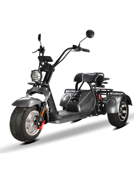 City coco 3 roues HM3 2000 watts 2 places avec panier