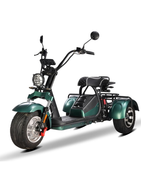 City coco 3 roues HM3 2000 watts 2 places avec panier