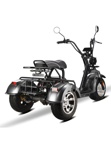 City coco 3 roues HM3 2000 watts 2 places avec...