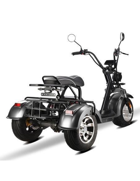 City coco 3 roues HM3 2000 watts 2 places avec panier