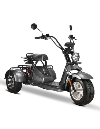 City coco 3 roues HM3 2000 watts 2 places avec...