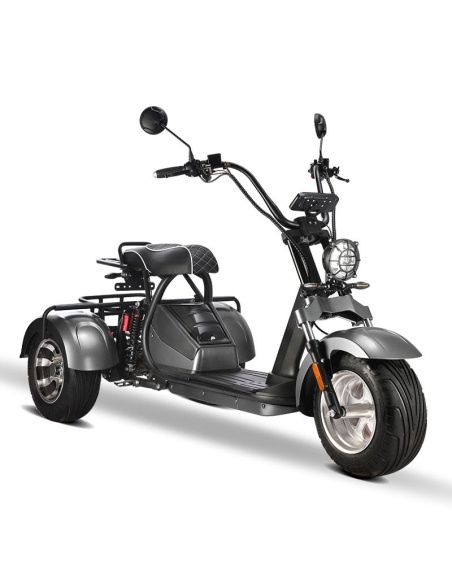 City coco 3 roues HM3 2000 watts 2 places avec panier
