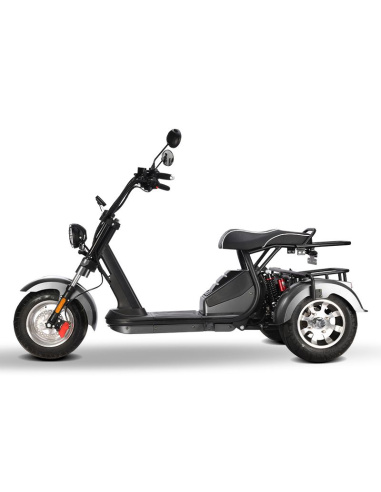 City coco 3 roues HM3 2000 watts 2 places avec...