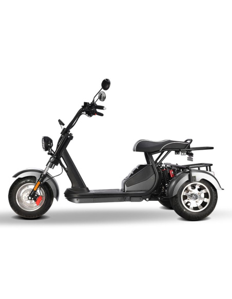 City coco 3 roues HM3 2000 watts 2 places avec panier