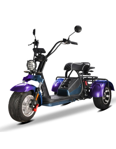 City coco 3 roues HM3 2000 watts 2 places avec...