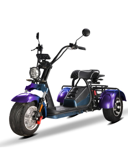 City coco 3 roues HM3 2000 watts 2 places avec panier