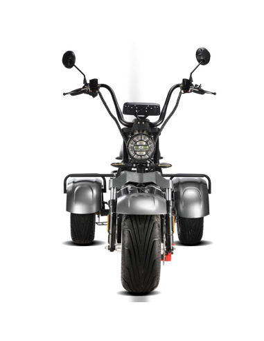 City coco 3 roues HM3 2000 watts 2 places avec...