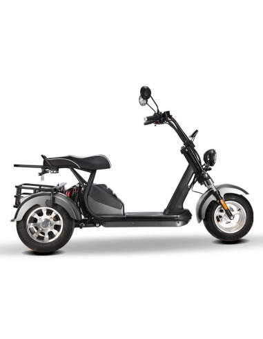 City coco 3 roues HM3 2000 watts 2 places avec...
