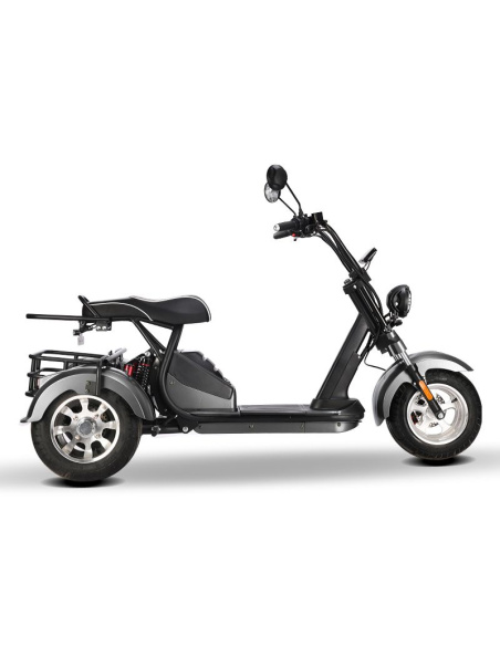 City coco 3 roues HM3 2000 watts 2 places avec panier