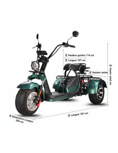 City coco 3 roues HM3 2000 watts 2 places avec...