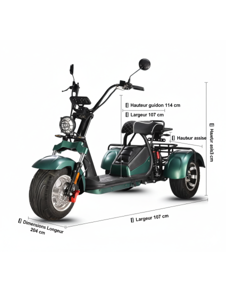 City coco 3 roues HM3 2000 watts 2 places avec panier