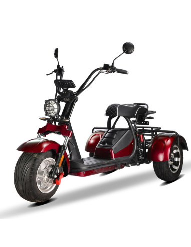 City coco 3 roues HM3 2000 watts 2 places avec...