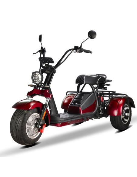 City coco 3 roues HM3 2000 watts 2 places avec panier
