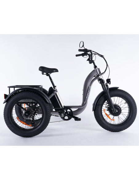 Tricycle électrique essentiel fatbike 3 roues pour PMR et séniors