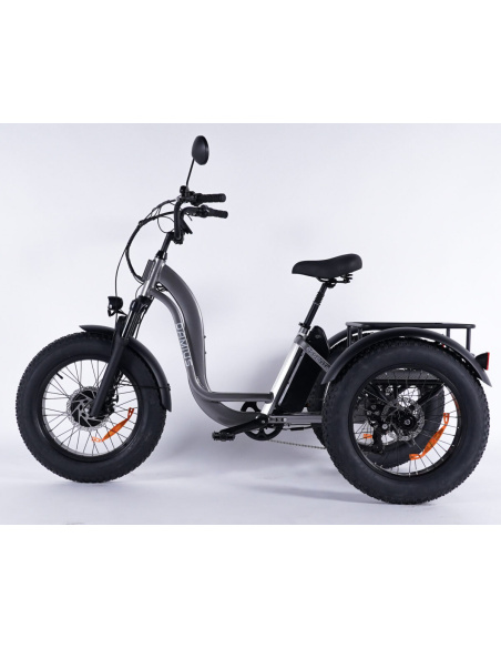 Tricycle électrique essentiel fatbike 3 roues pour PMR et séniors