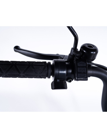 Tricycle électrique essentiel fatbike 3 roues pour PMR et séniors