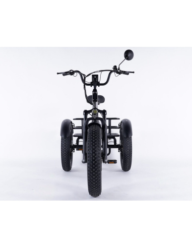 Tricycle électrique essentiel fatbike 3 roues...