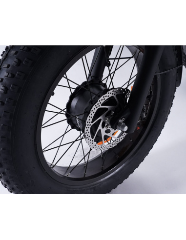 Tricycle électrique essentiel fatbike 3 roues...