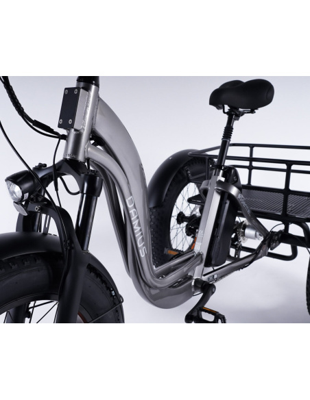 Tricycle électrique essentiel fatbike 3 roues pour PMR et séniors