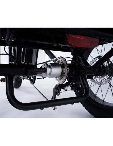 Tricycle électrique essentiel fatbike 3 roues...