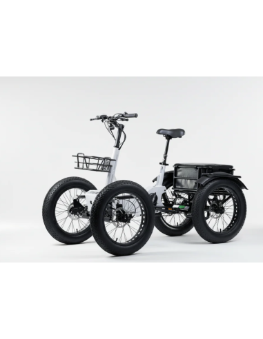 Quadricycle fatbike Quad etnic à assistance...