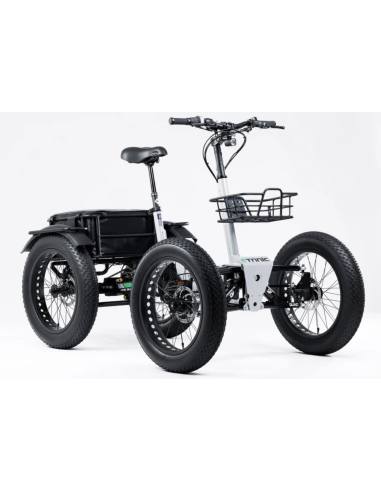 Quadricycle fatbike Quad etnic à assistance...