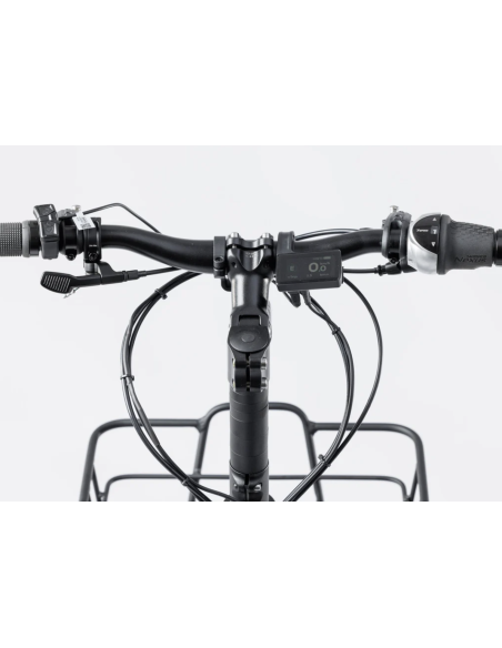 Quadricycle fatbike Quad etnic à assistance électrique