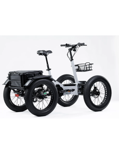 Quadricycle fatbike Quad etnic à assistance...