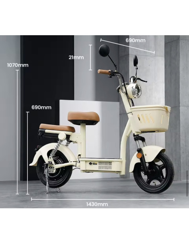 scooter électrique 2 roues CHOPPY 2 places
