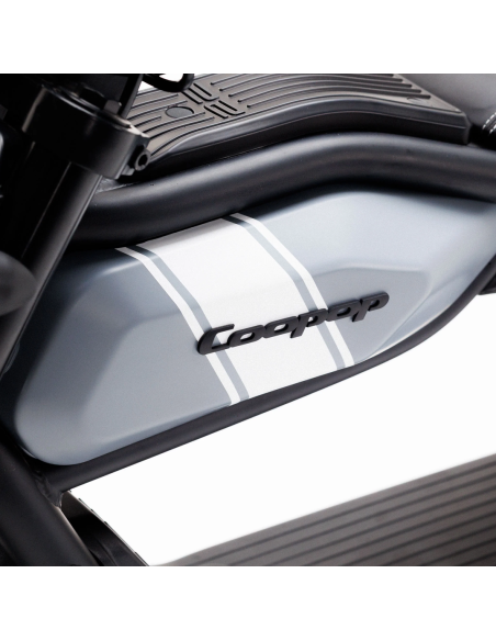 Scooter Coopop Scrambler 4000 watts