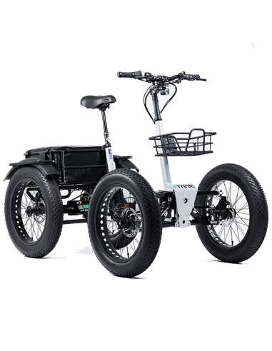 Quadricycle fatbike Quad etnic à assistance...