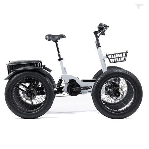 Quadricycle fatbike Quad etnic à assistance électrique 2