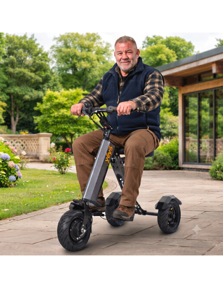 MATE 6 trottinette électrique 3 roues 11 pouces 350 watts PMR