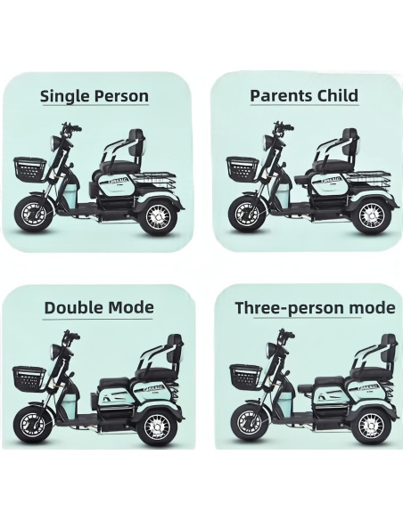 Scooter électrique TYTY 3 roues 2 places 60V 20ah 1000 watts