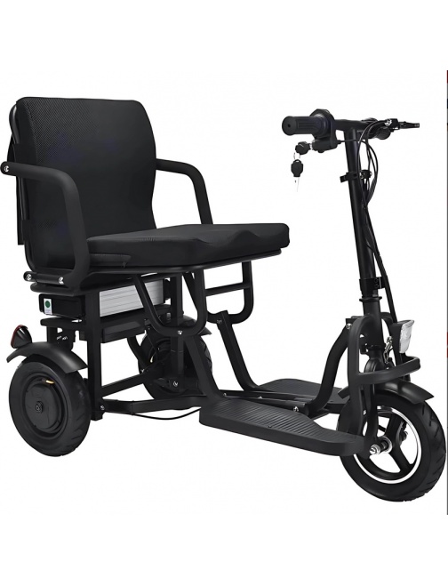 YEYE Cross trottinette électrique 3 roues PMR...