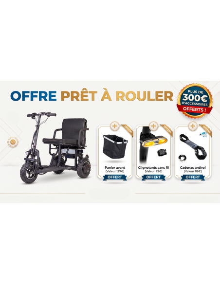 YEYE Cross trottinette électrique 3 roues PMR stable tout terrain