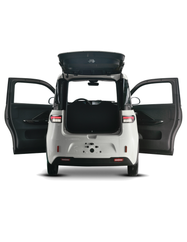 Voiturette electrique VSP 4000 watts FUTURI 4...