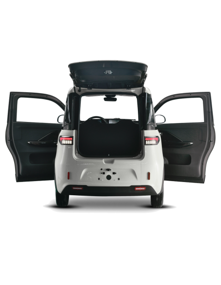 Voiturette electrique VSP 4000 watts FUTURI 4 max 4 places climatisation